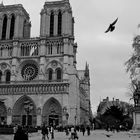 Notre Dame de Paris