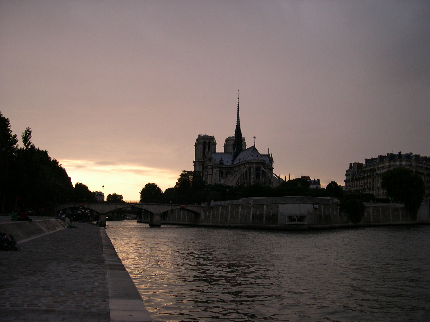 Notre Dame de PARIS Ile de la cité