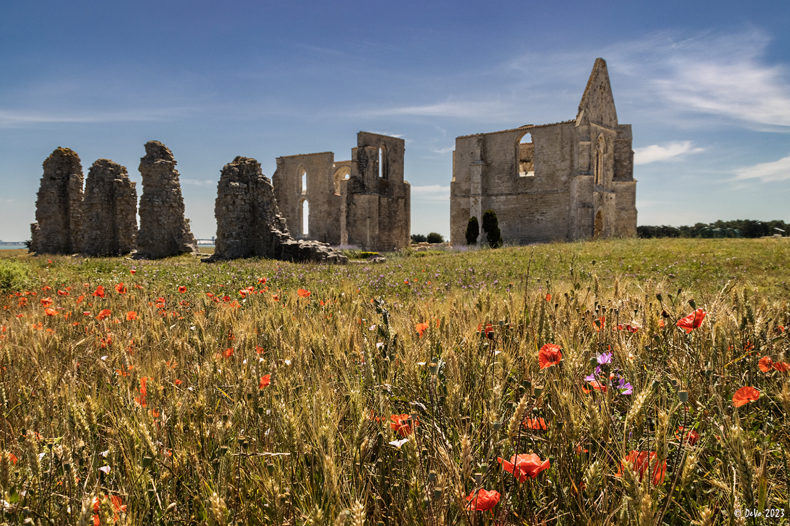 Notre-Dame-de-Ré ...