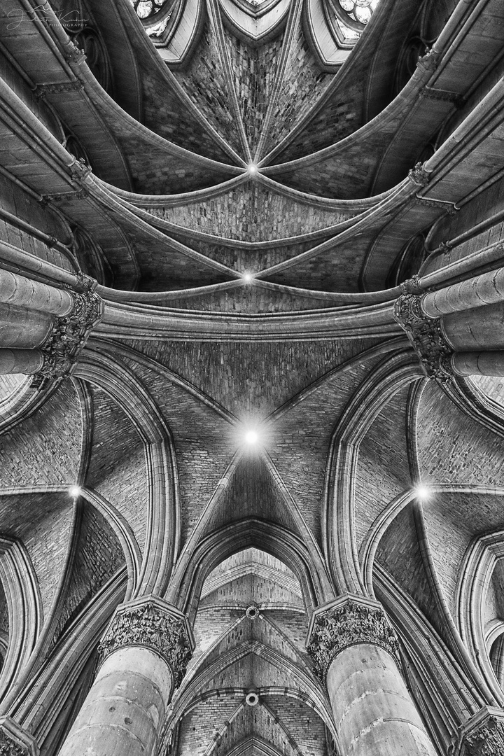 Notre Dame De Reims Foto Bild Architektur Europe