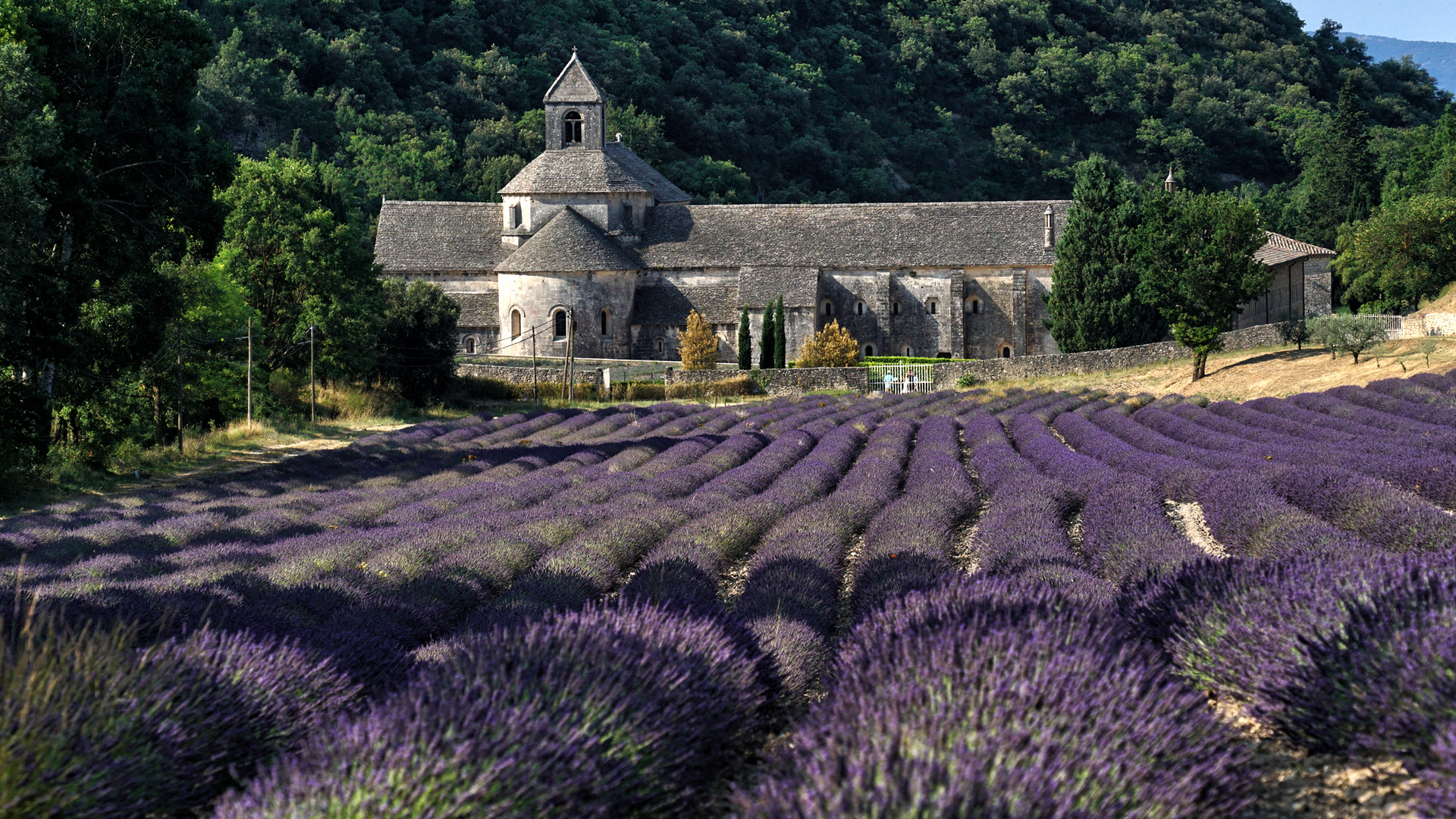 Notre-Dame de Sénanque