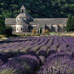 Notre-Dame de Sénanque