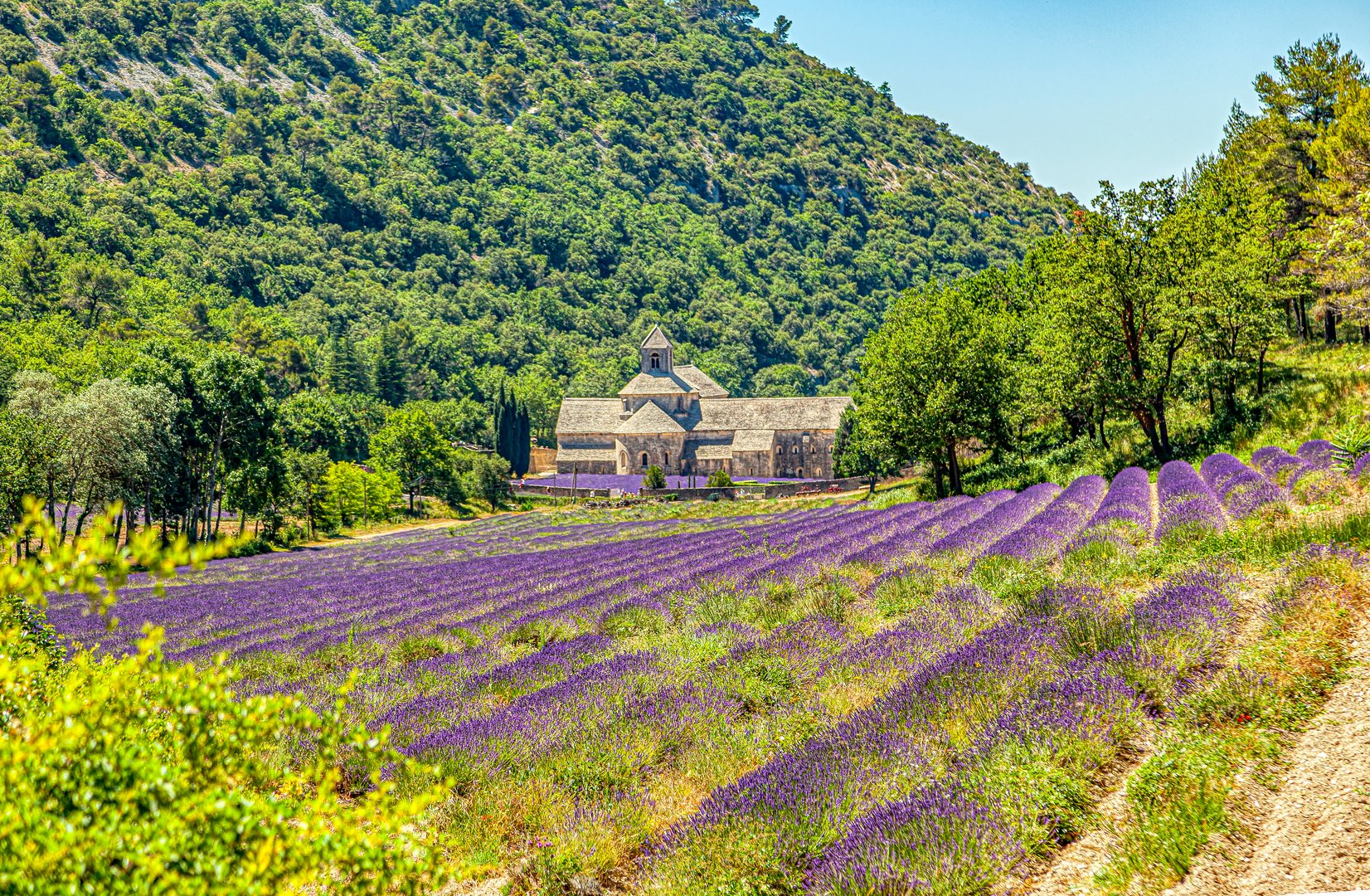 Notre-Dame de Sénanque