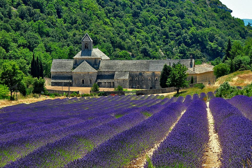 Notre Dame de Senanque