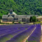 Notre Dame de Senanque