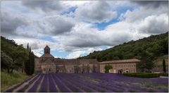 Notre-Dame de Sénanque