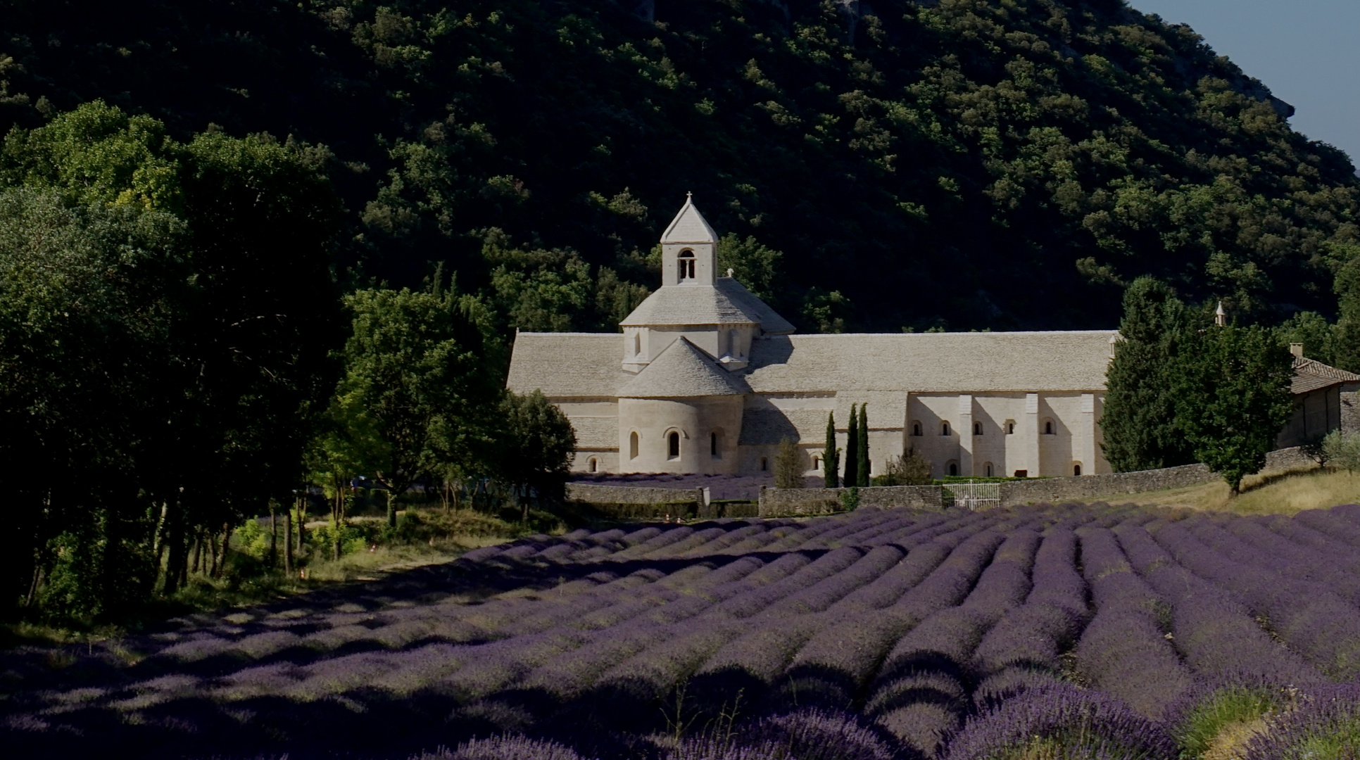 Notre Dame de Sénanque