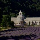 Notre Dame de Sénanque