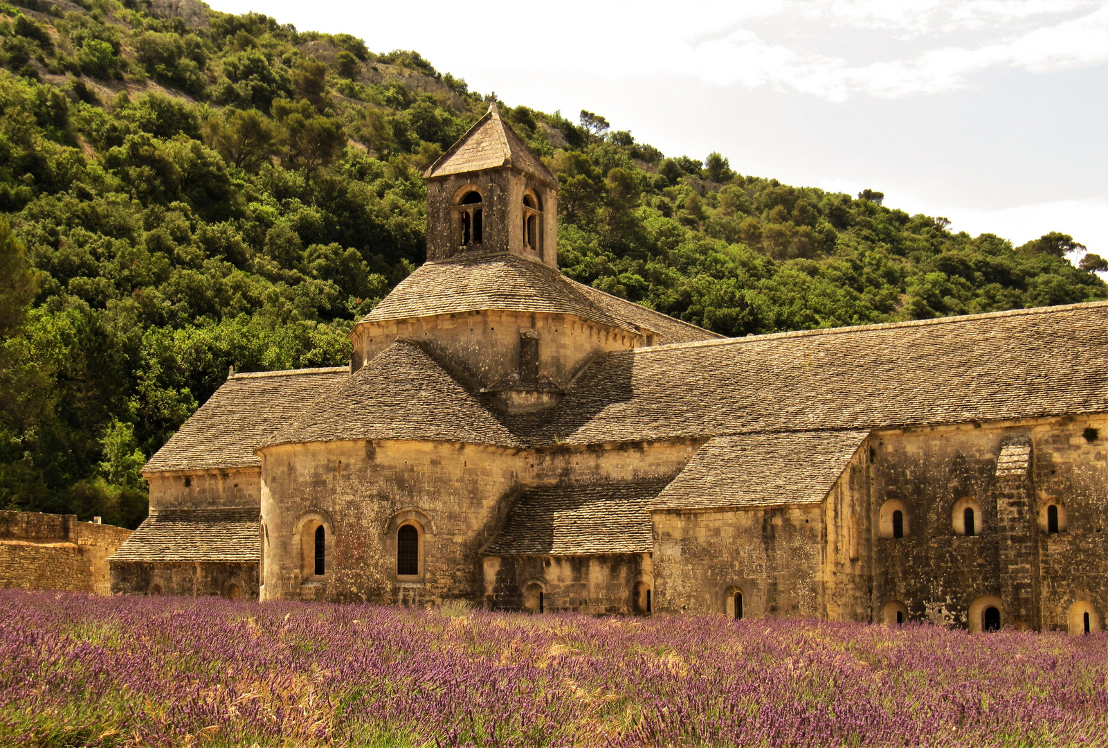 Notre Dame de Sénanque en provence