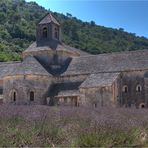 Notre-Dame de Sénanque 