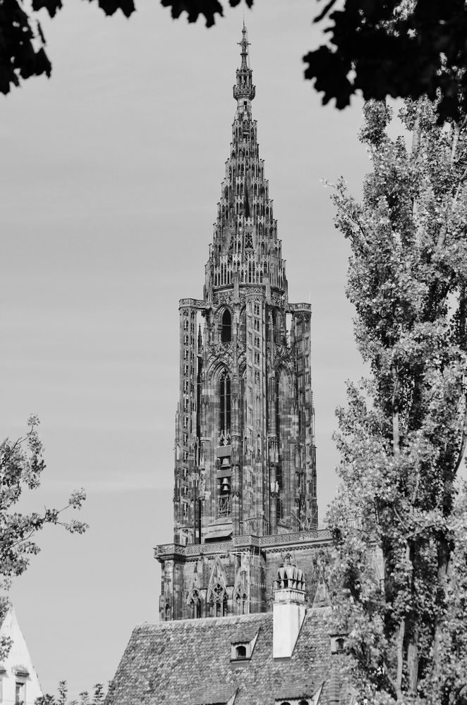 Notre Dame de Strasbourg - 01