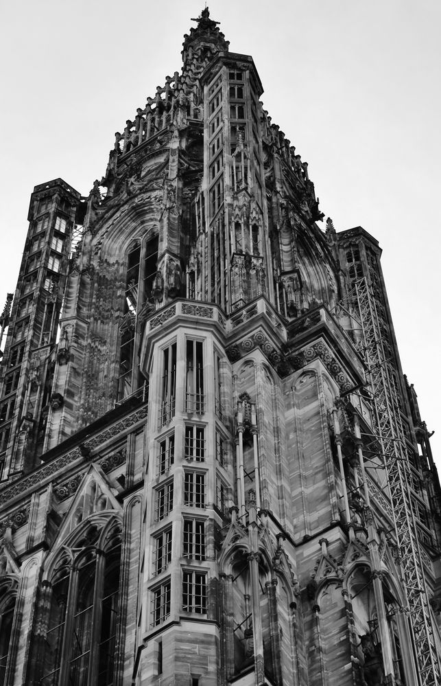 Notre Dame de Strasbourg - 03