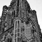 Notre Dame de Strasbourg - 03