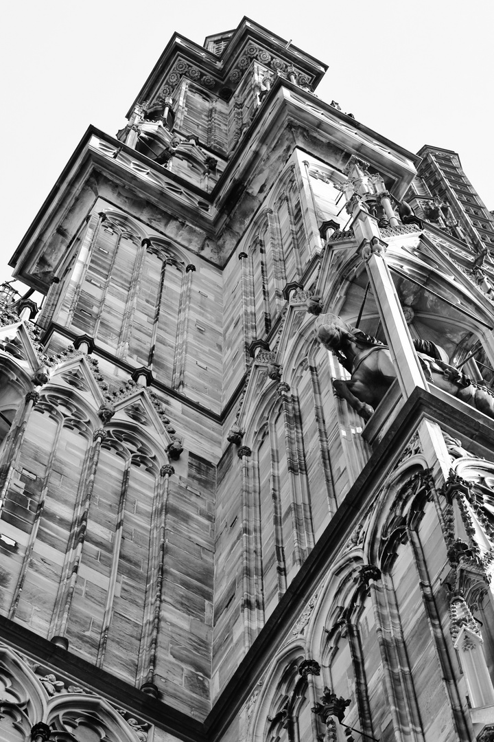 Notre Dame de Strasbourg - 05