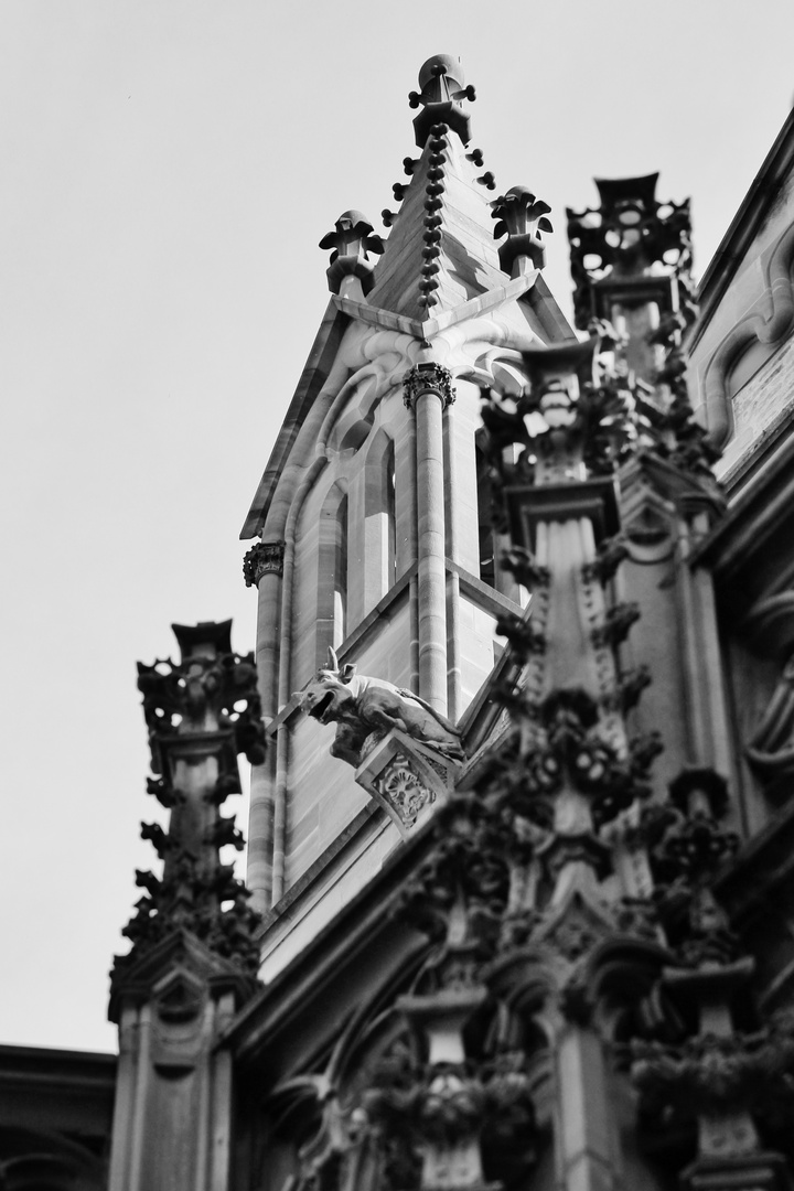 Notre Dame de Strasbourg - 07