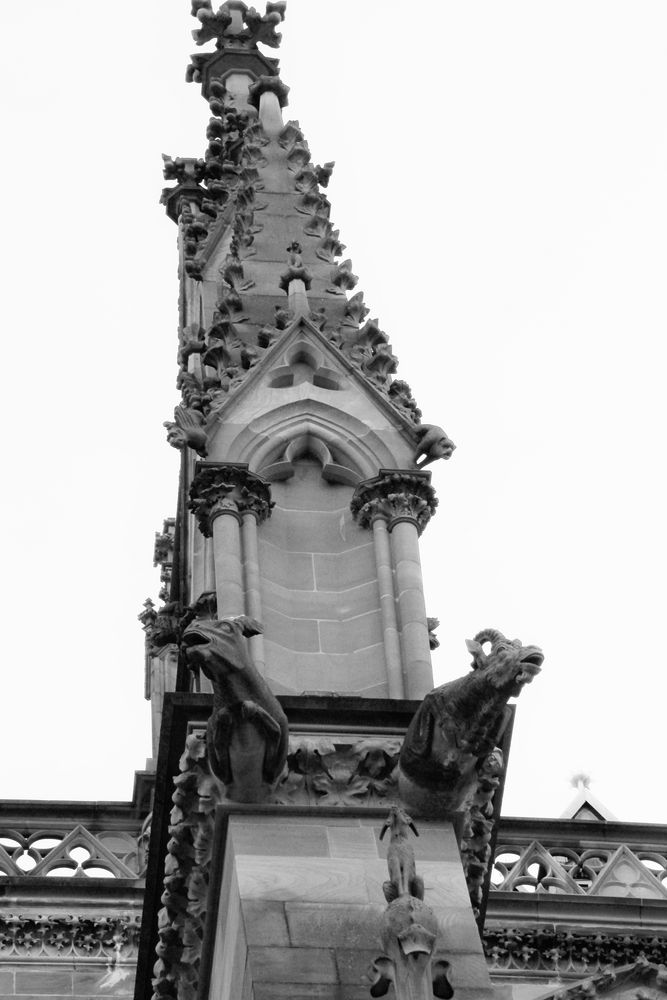 Notre Dame de Strasbourg - 08