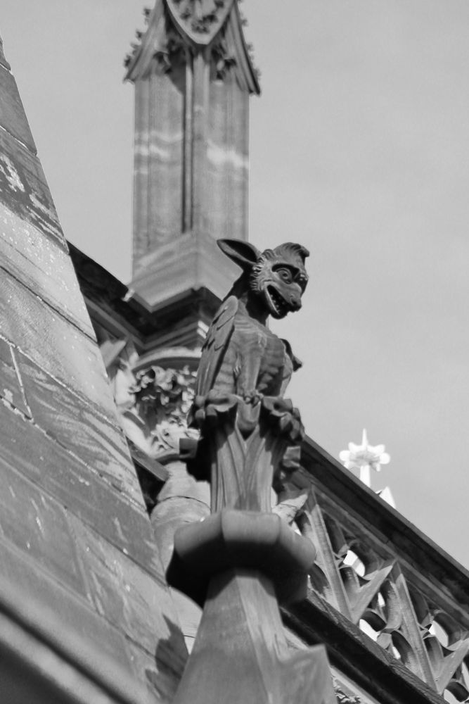 Notre Dame de Strasbourg - 10
