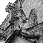 Notre Dame de Strasbourg - 12