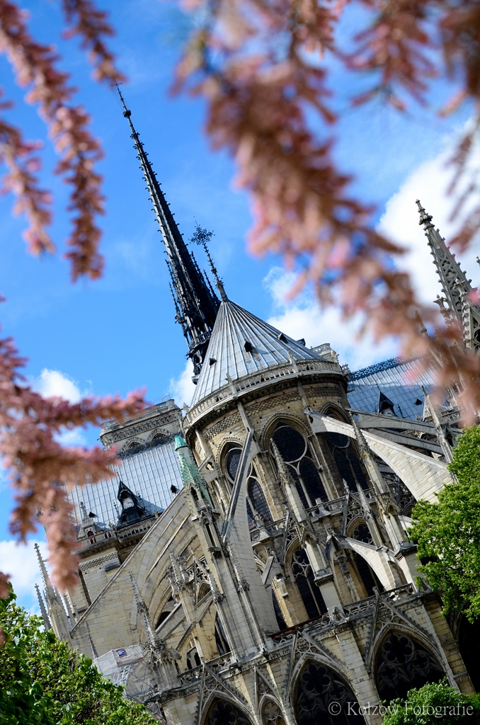 Notre Dame