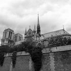 Notre Dame