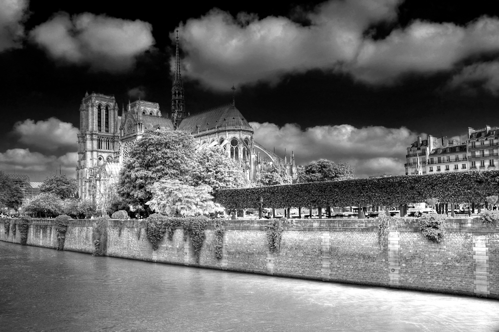 Notre Dame en blanc-noir