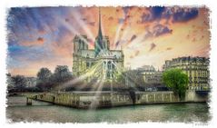 - Notre Dame erstrahlt in neuem Glanz -