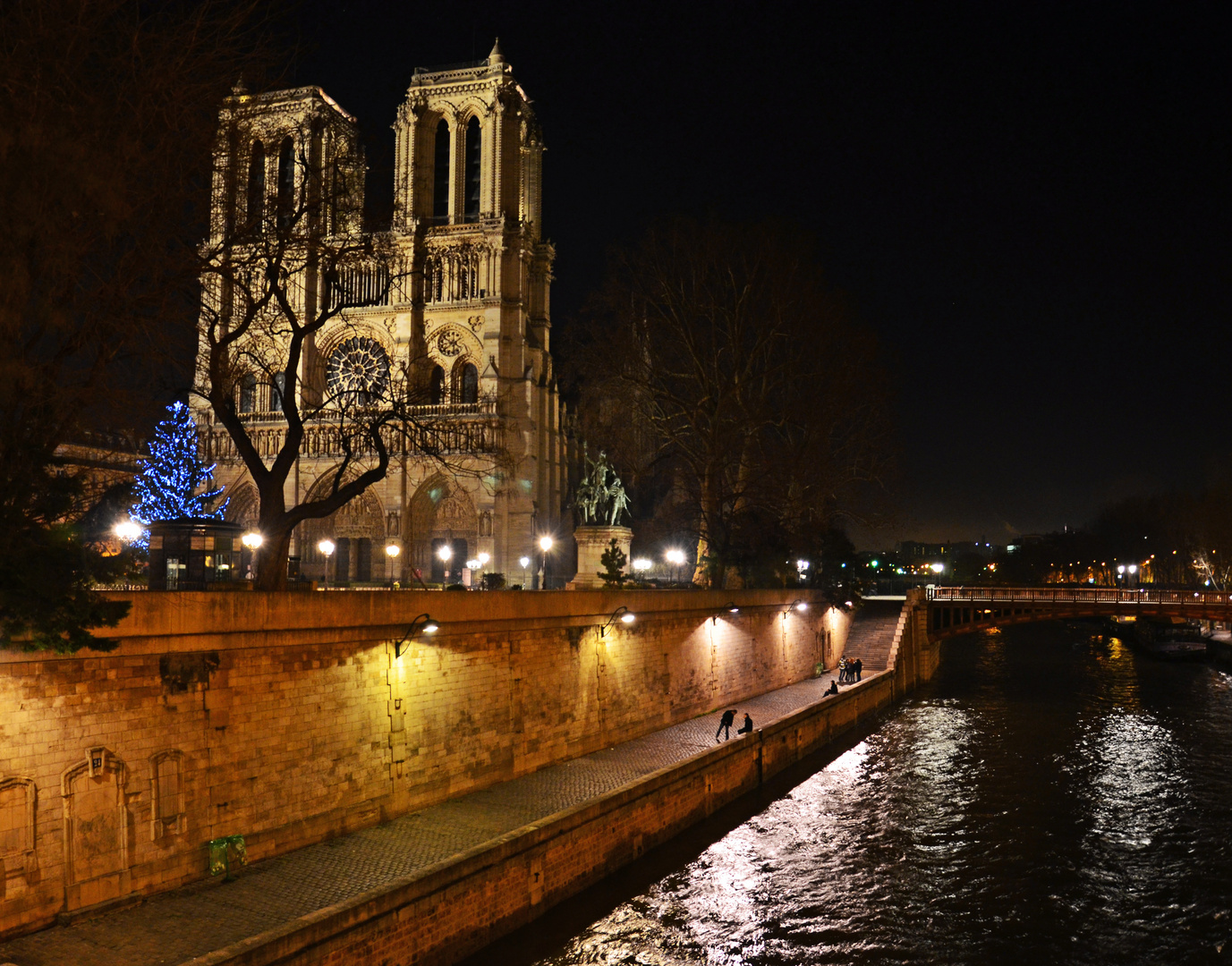 Notre Dame et quai de Seine