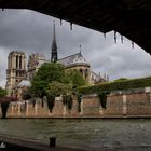 Notre dame