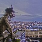 Notre Dame hdr