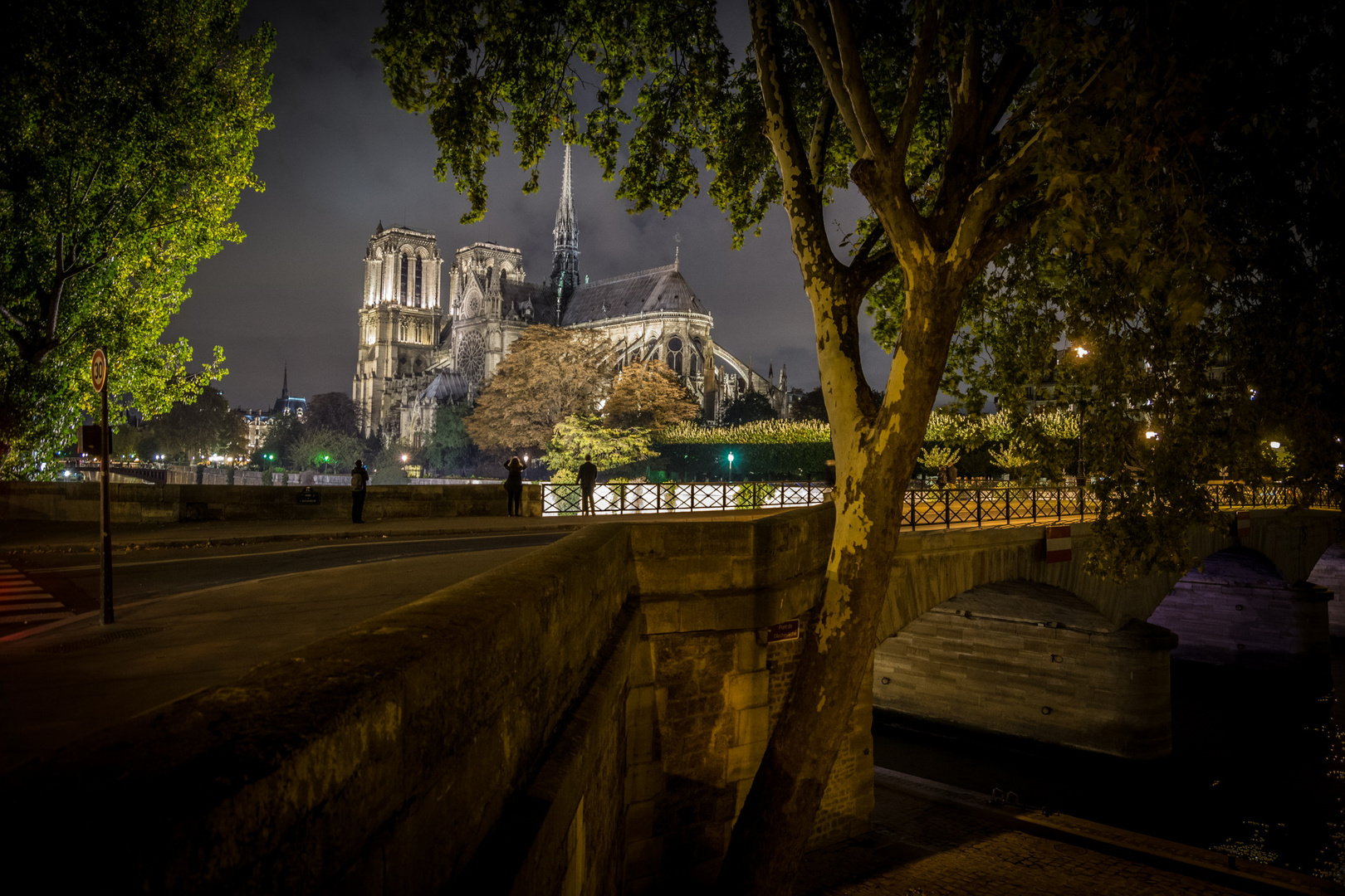 Notre Dame II