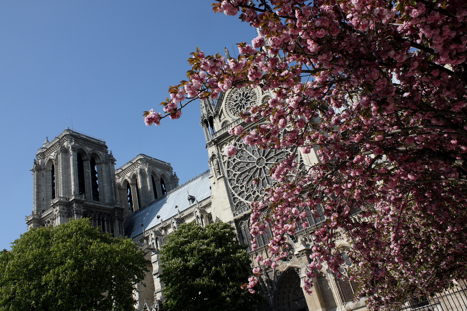 Notre-Dame im Frühjahr