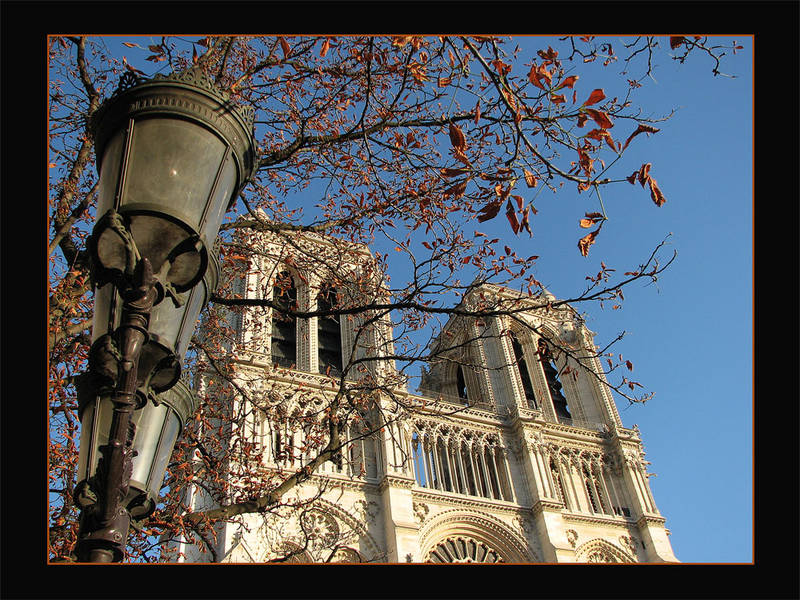 Notre Dame im Herbst