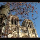 Notre Dame im Herbst
