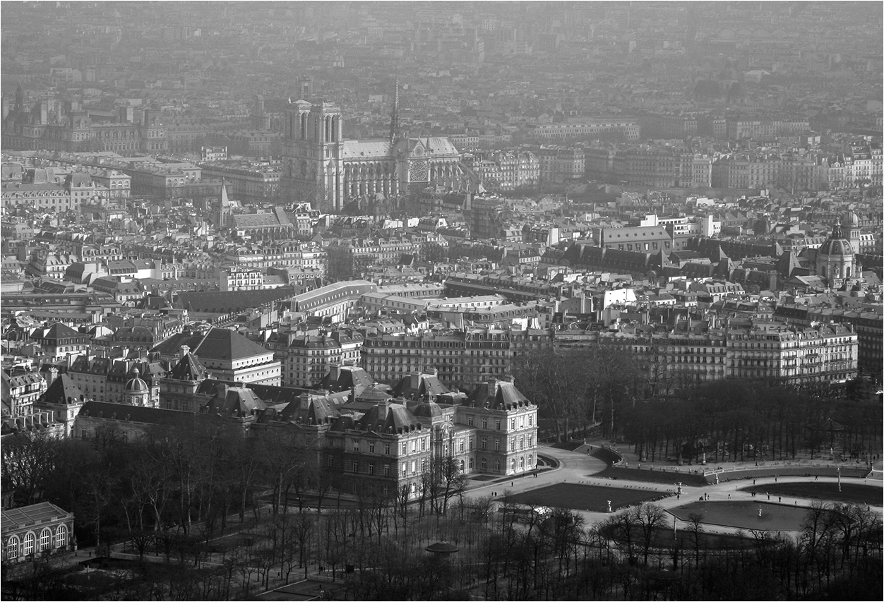 Notre-Dame im Nebel