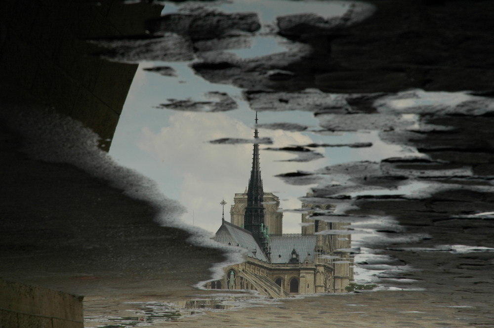 Notre Dame in a puddle