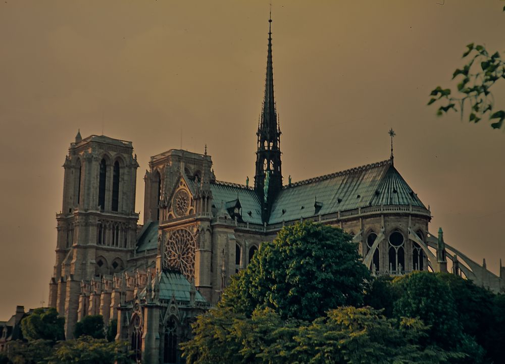 Notre Dame in der Dämmerung.            -ö120_2596