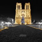 Notre Dame in SW und Farbe