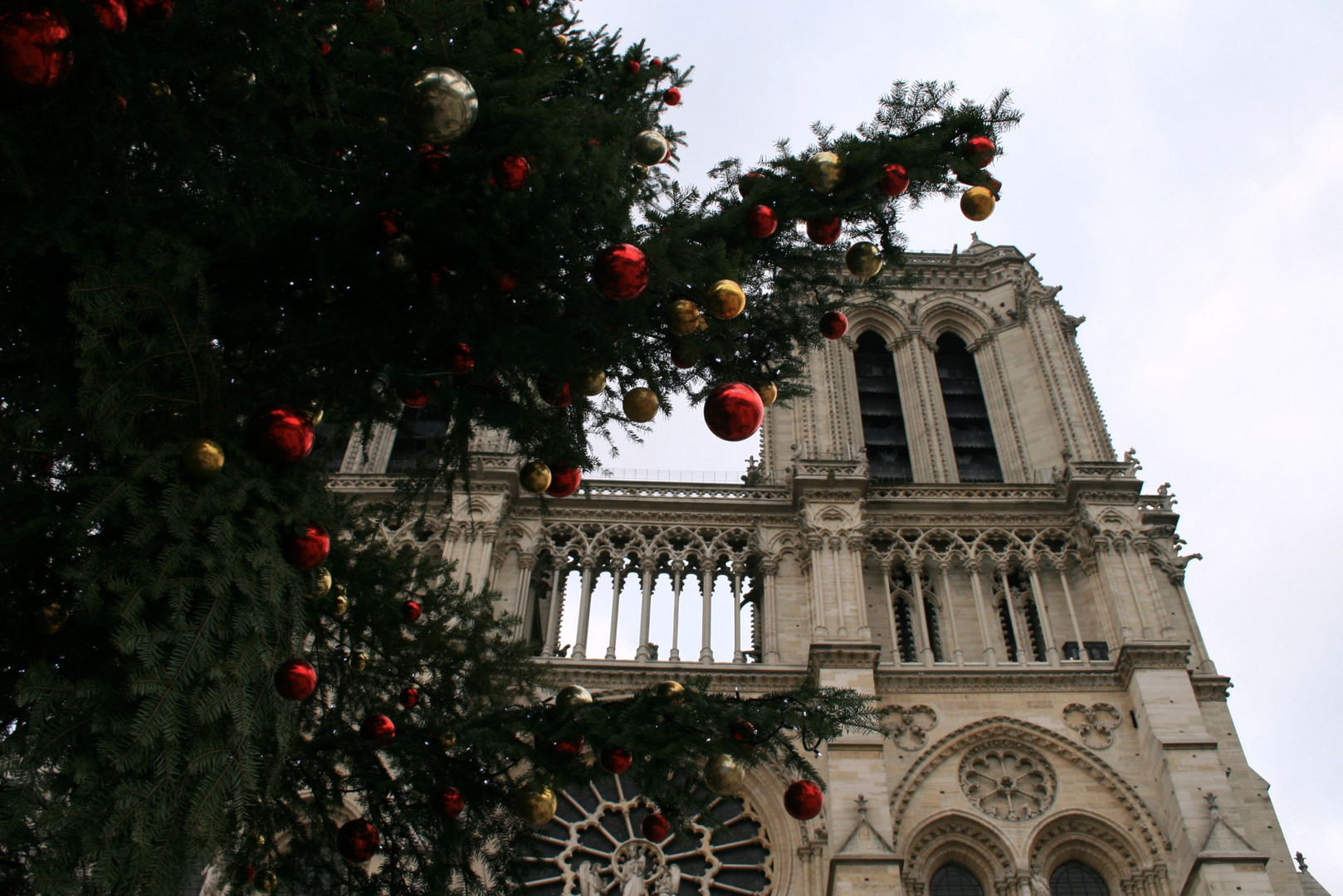 Notre-Dame in Weihnachtsstimmung....