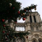 Notre-Dame in Weihnachtsstimmung....