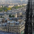 Notre Dame : la guglia