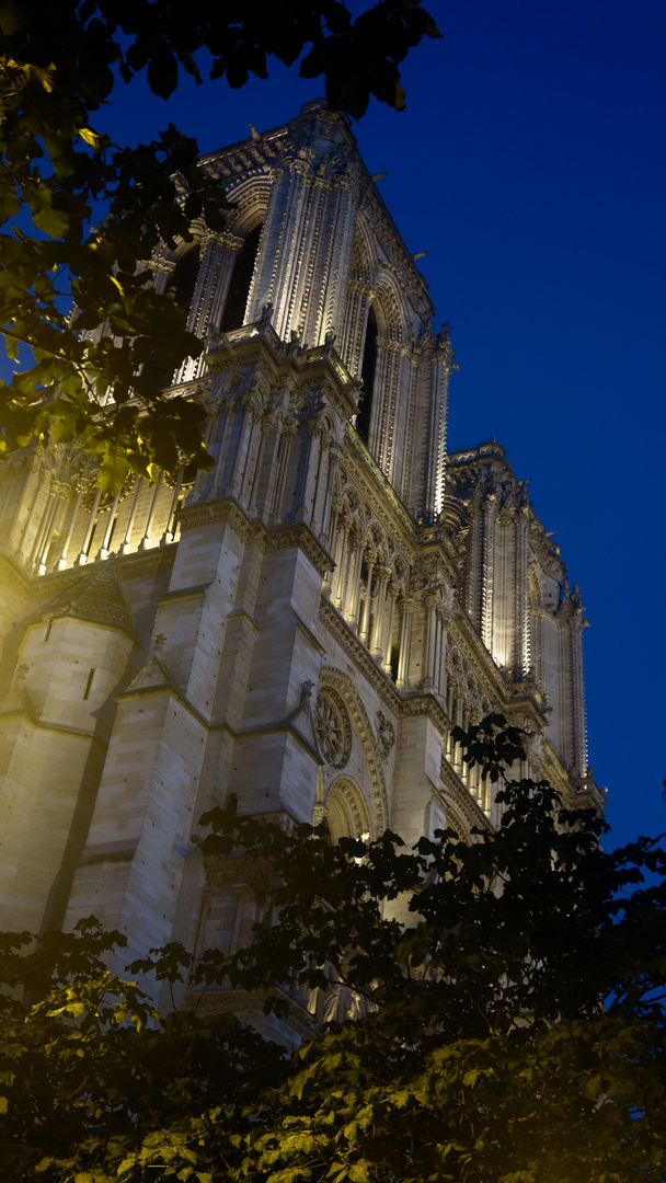 notre dame leicht angeschrägt