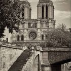 Notre Dame - OldStyle