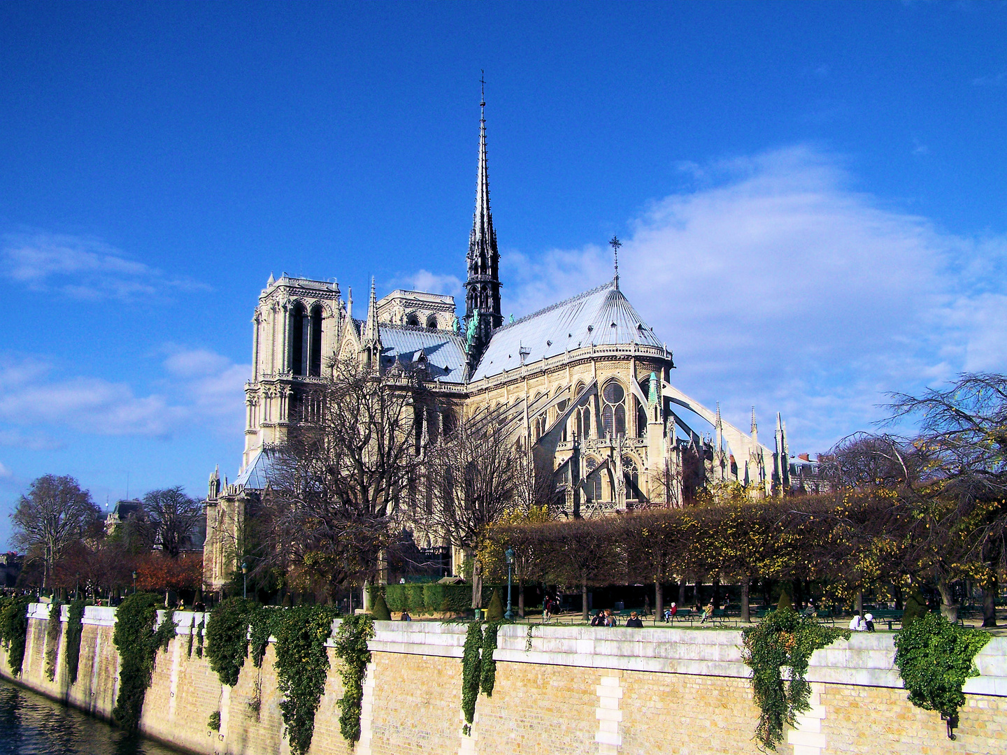 Notre Dame Paris