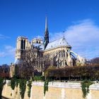 Notre Dame Paris