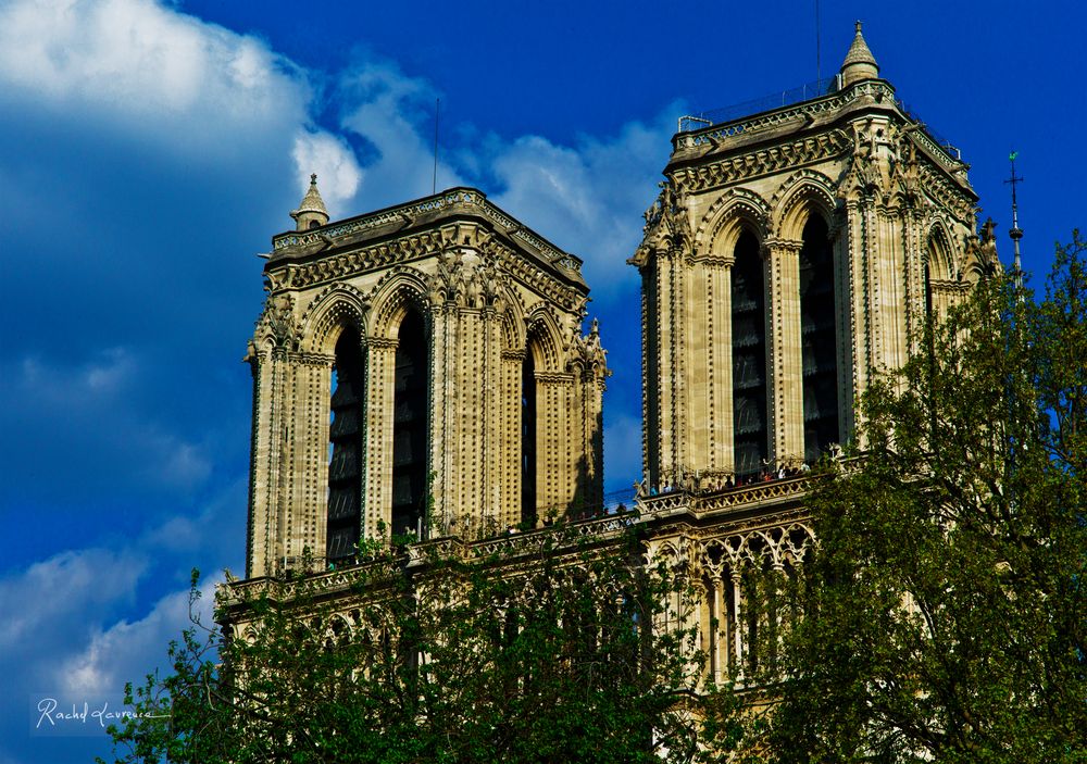 Notre Dame Paris