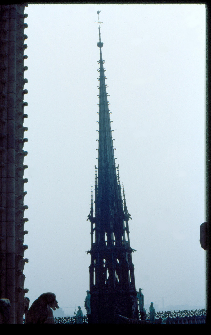 Notre Dame, Paris