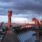 Notre Dame, Paris