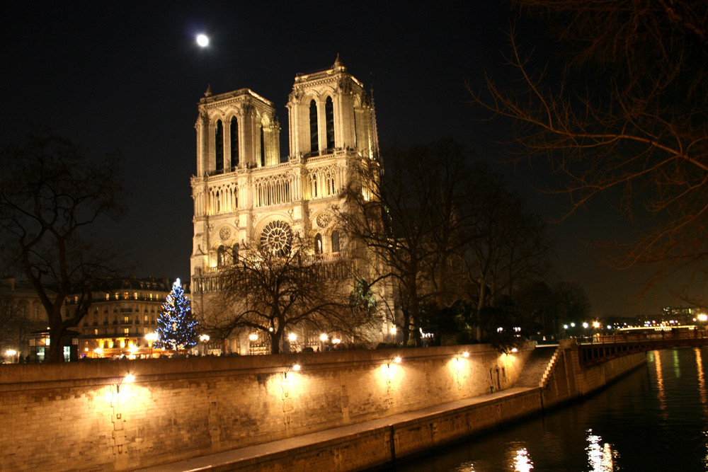 ... Notre Dame ... (Paris)