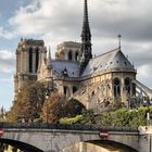 Notre Dame - Paris