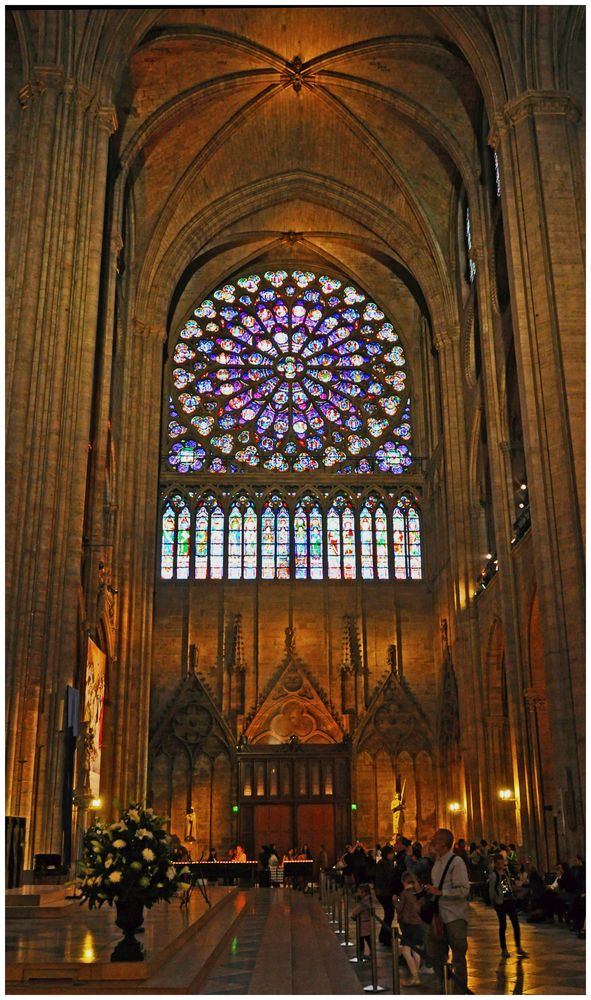 Notre Dame, Rosette